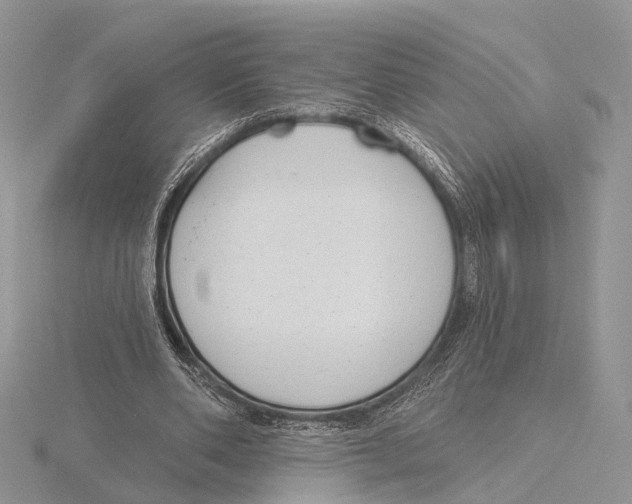 X0000115630486200912081046