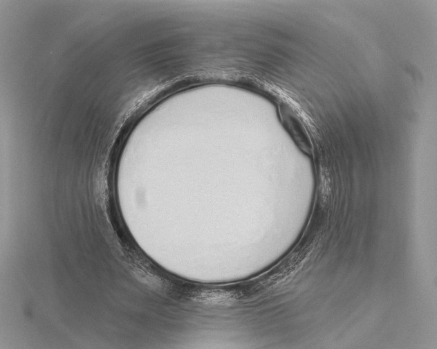 X0000115630487200912081046