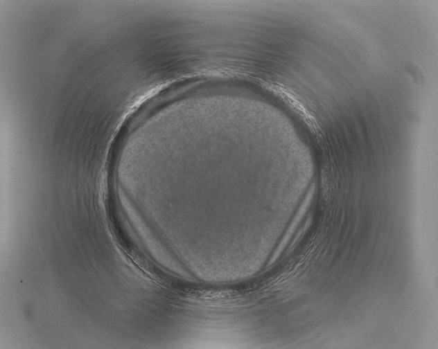 X0000115630488200912081046