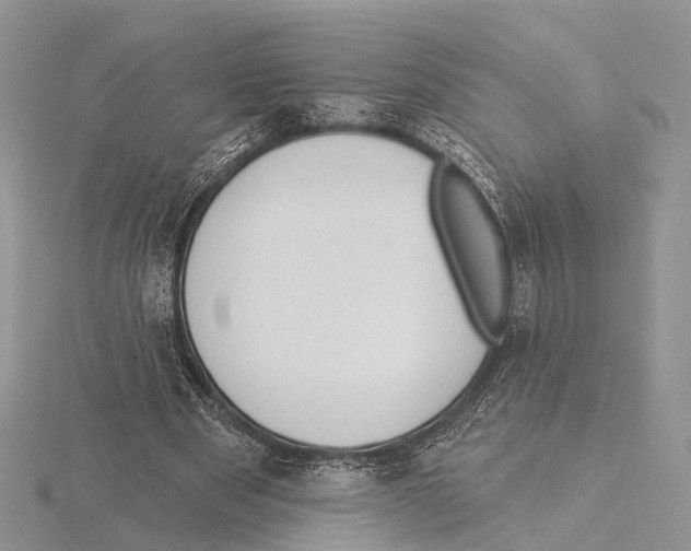 X0000115630489200912081046
