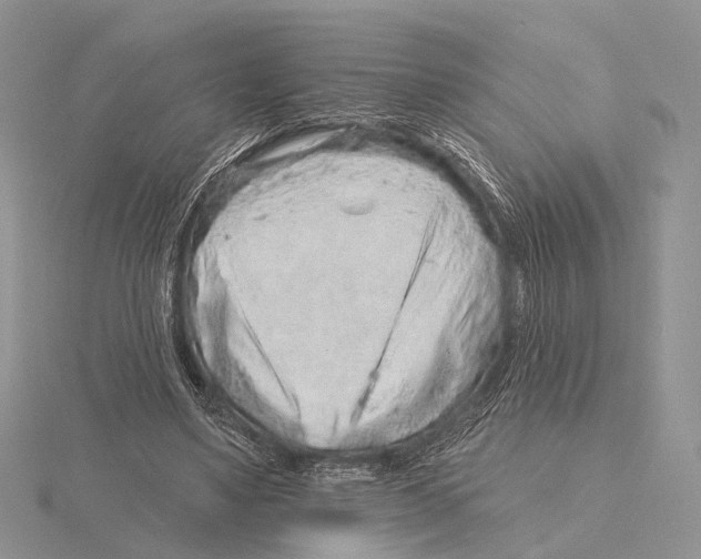 X0000115630491200912081046