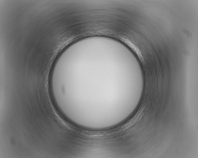 X0000115630493200912081046