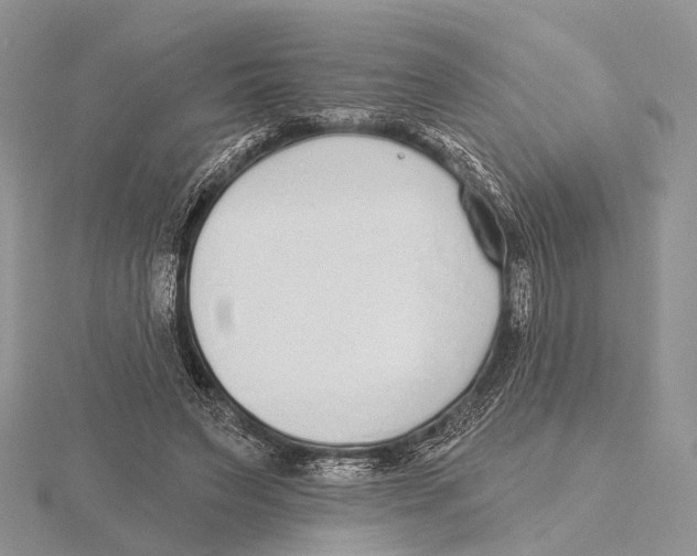 X0000115630495200912081046