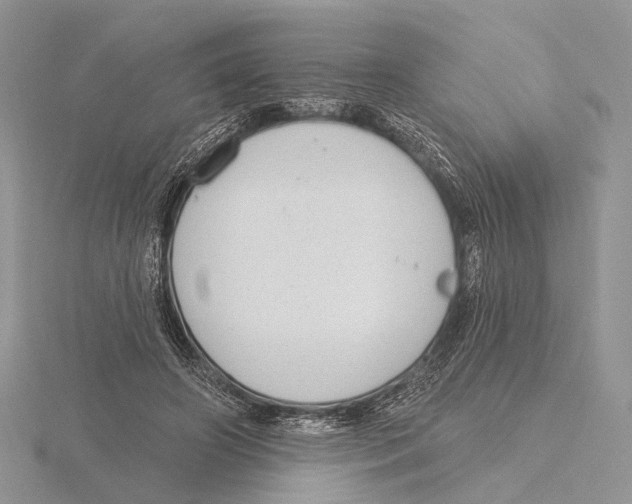 X0000115630498200912081046