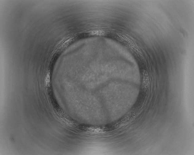 X0000115630502200912081046