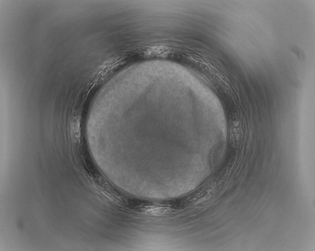 X0000115630504200912081046