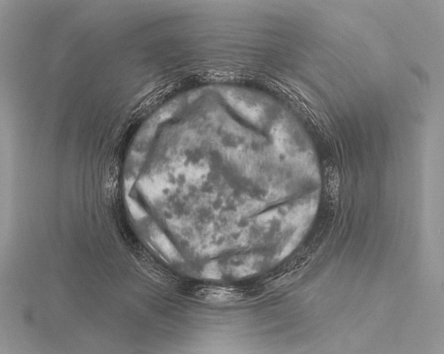X0000115630507200912081046