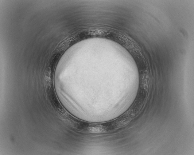 X0000115630510200912081046
