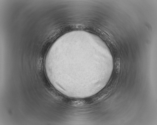X0000115630511200912081046