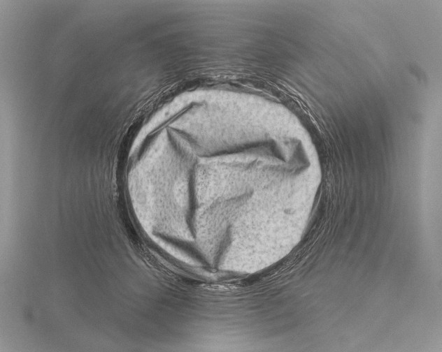 X0000115630512200912081046