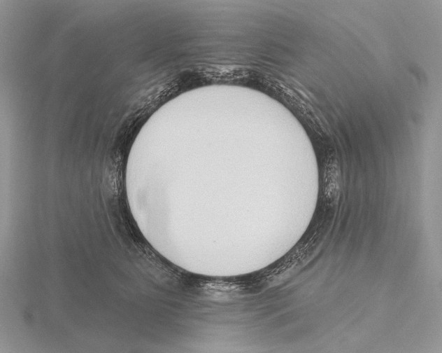 X0000115630515200912081046