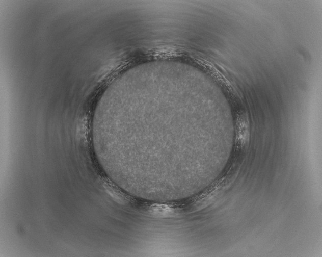 X0000115630519200912081046