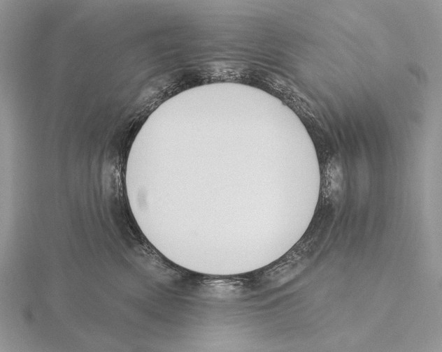 X0000115630522200912081046