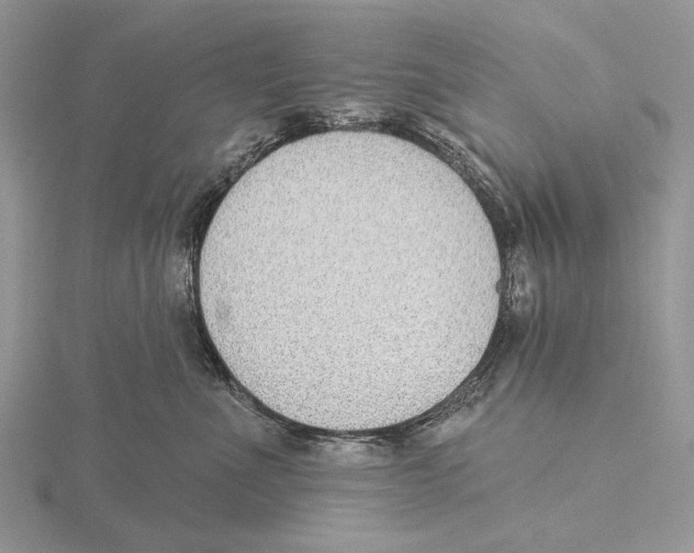X0000115630523200912081046