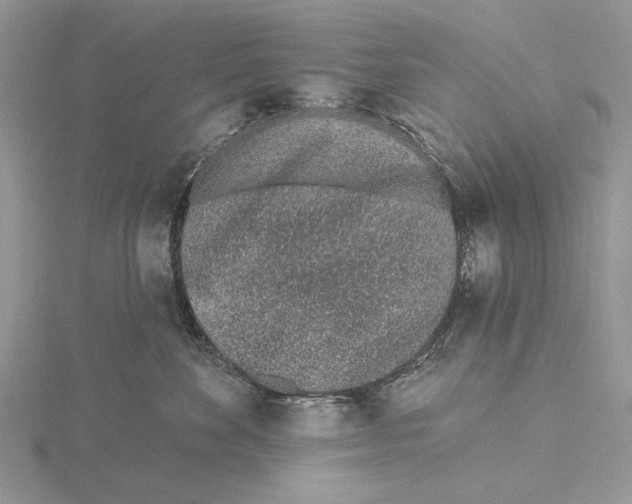 X0000115630524200912081046