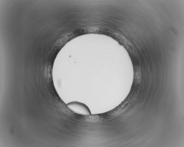 X0000115630525200912081046