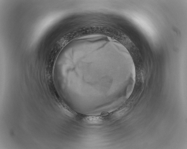 X0000115630526200912081046