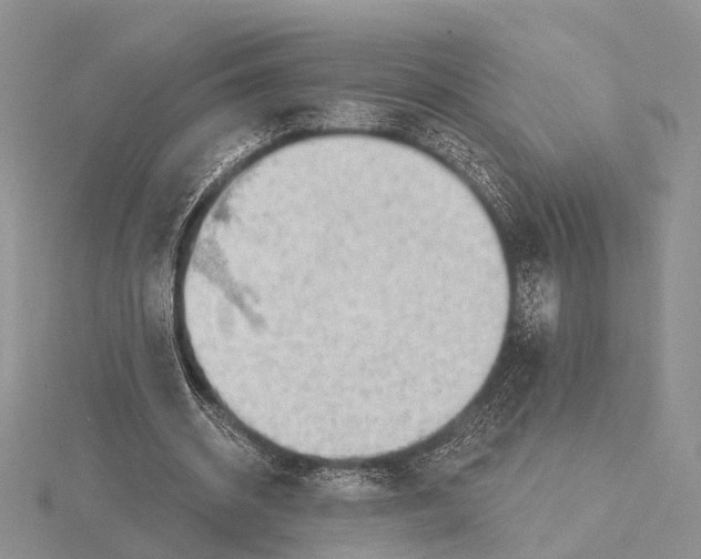 X0000115630534200912081045