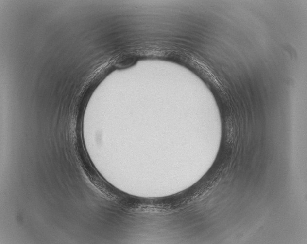X0000115630538200912081045