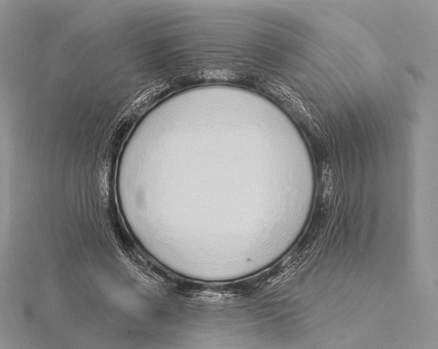 X0000115630542200912081045