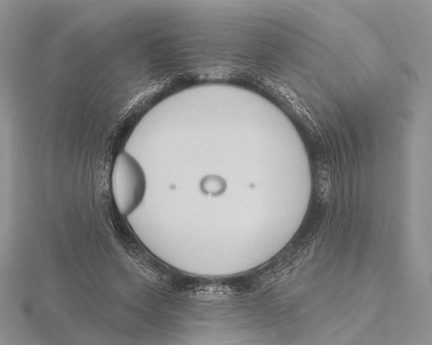 X0000115630543200912081045