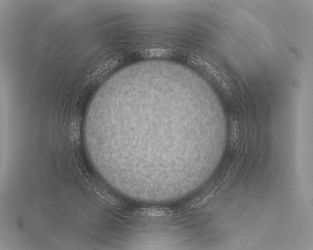 X0000115630545200912081045