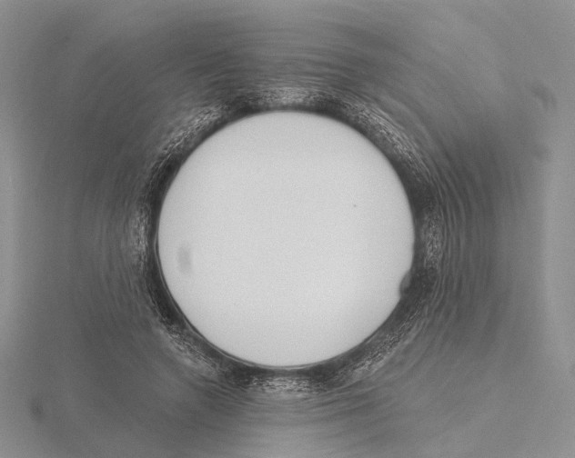 X0000115630546200912081045