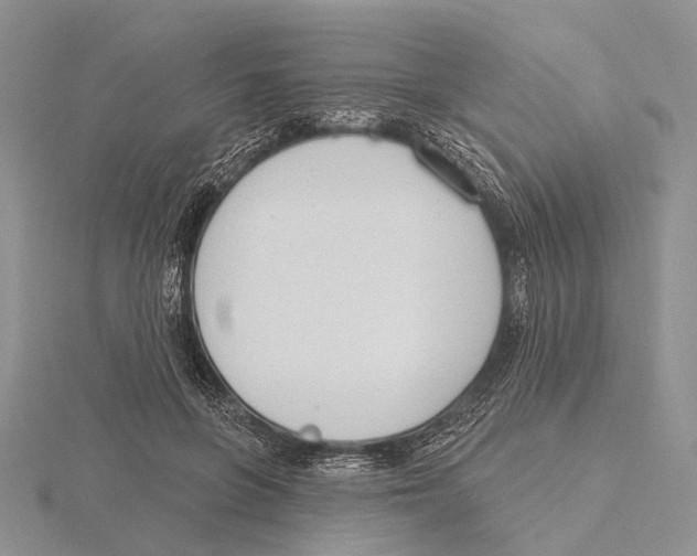X0000115630551200912081045
