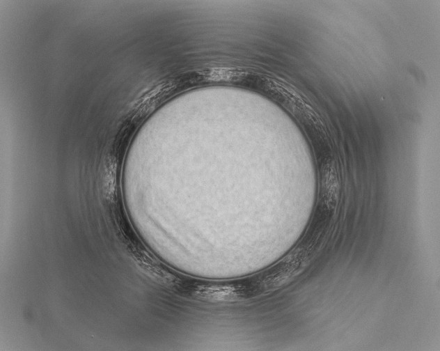 X0000115630554200912081045