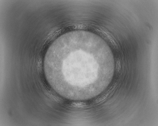 X0000115630557200912081045