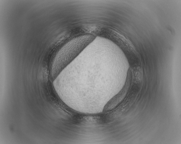 X0000115630558200912081045