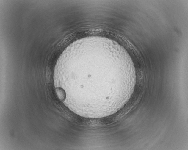 X0000115630565200912081046