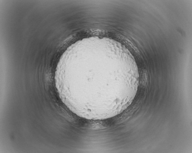 X0000115630569200912081046