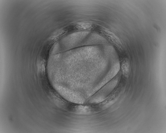 X0000115630570200912081046