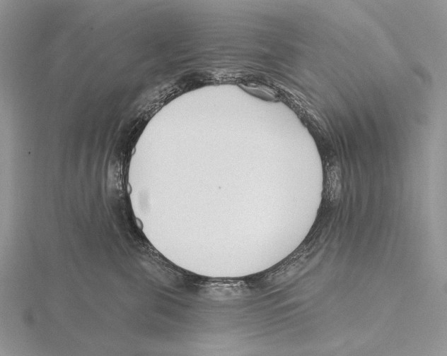 X0000115630571200912081046