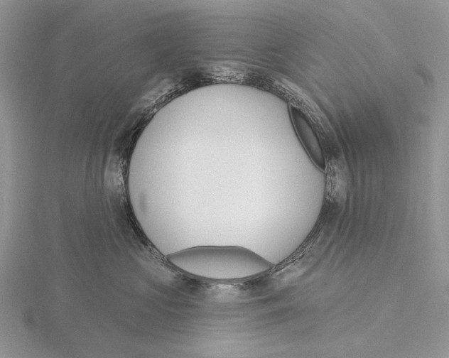 X0000115630573200912081046