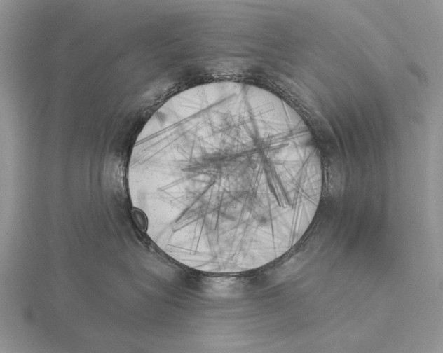 X0000115630575200912081046