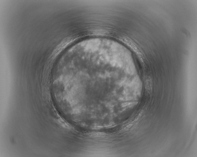 X0000115630577200912081045