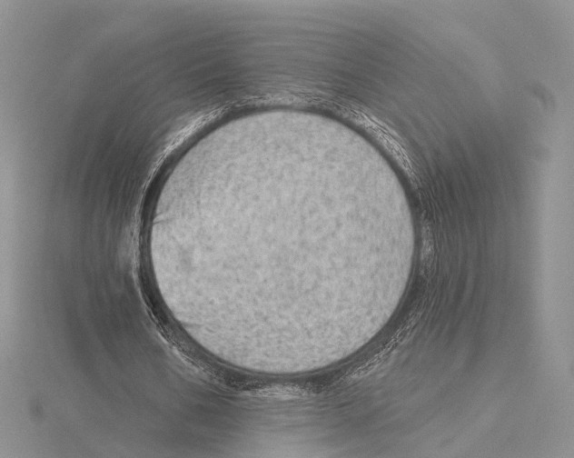 X0000115630578200912081045