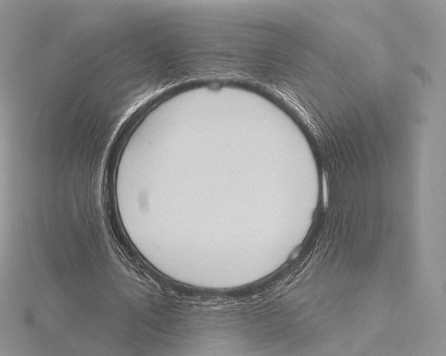 X0000115630579200912081045