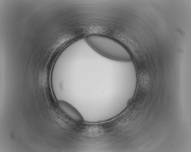 X0000115630587200912081045