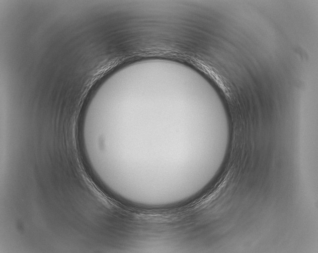 X0000115630589200912081045