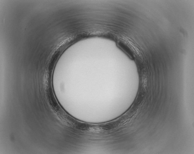X0000115630591200912081045