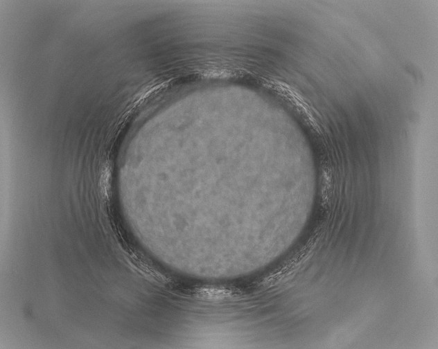 X0000115630596200912081045