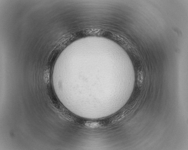 X0000115630602200912081045