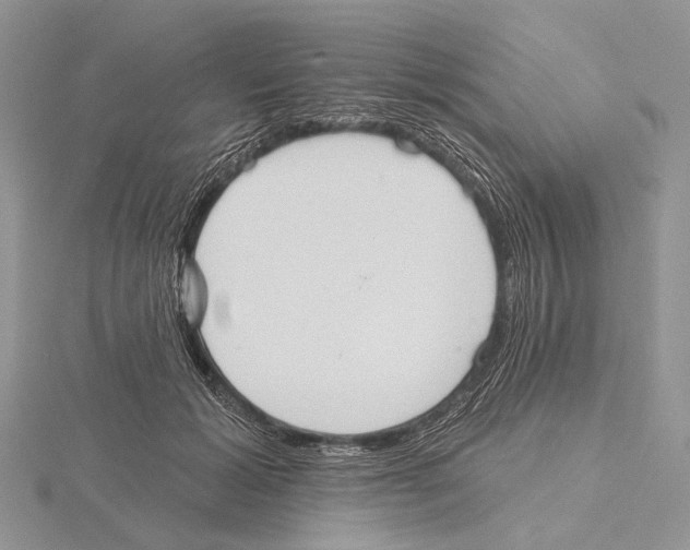 X0000115630605200912081045