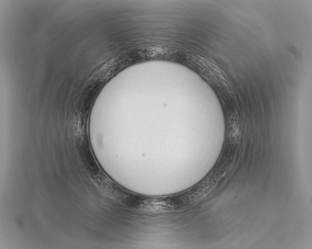 X0000115630607200912081045