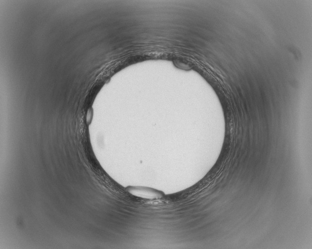 X0000115630611200912081045