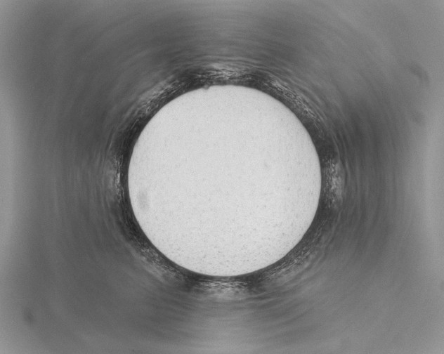X0000115630615200912081045