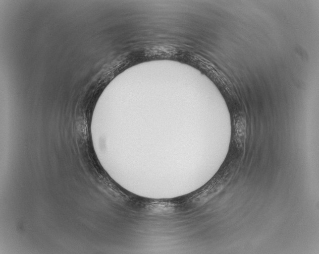 X0000115630617200912081045